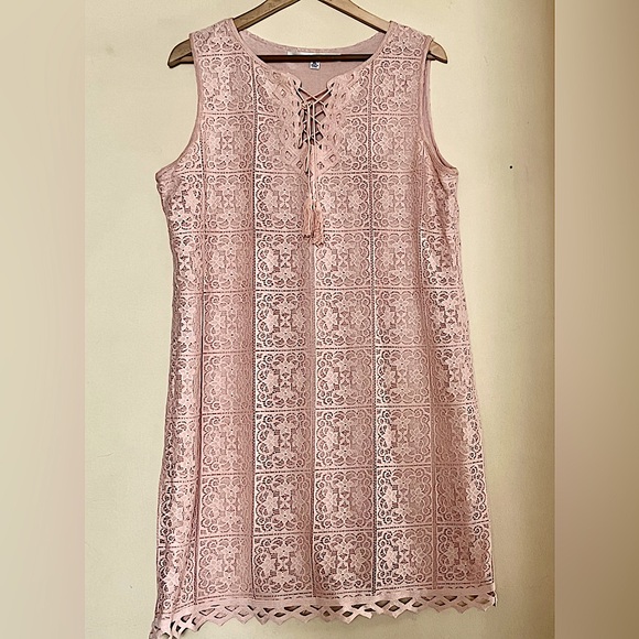 Max Studio Dresses & Skirts - MAX STUDIO Blush Lace Sleeveless Dress